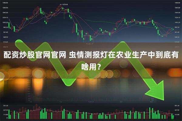 配资炒股官网官网 虫情测报灯在农业生产中到底有啥用？