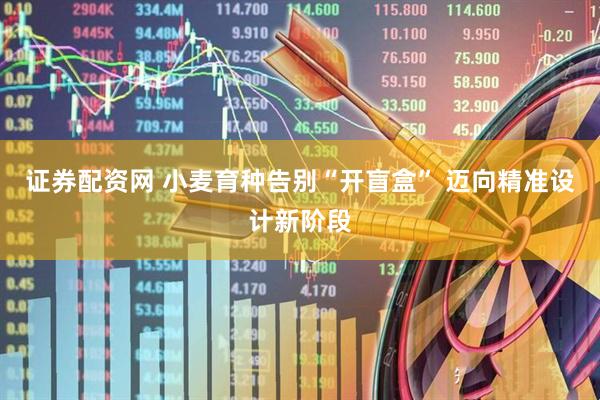 证券配资网 小麦育种告别“开盲盒” 迈向精准设计新阶段